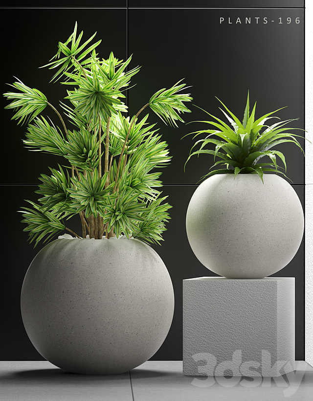 PLANTS 196 3DS Max Model - thumbnail 2