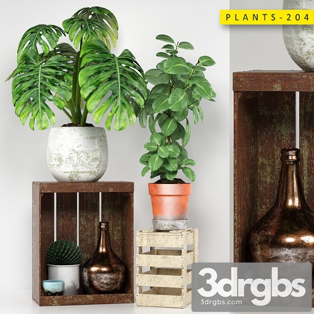 Plants 204 - thumbnail 1