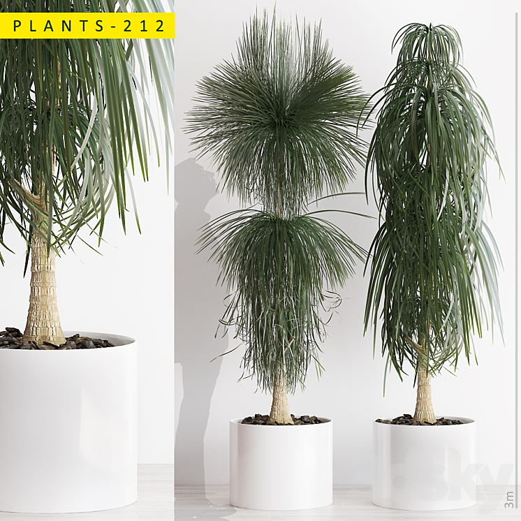 PLANTS 212 3DS Max - thumbnail 1