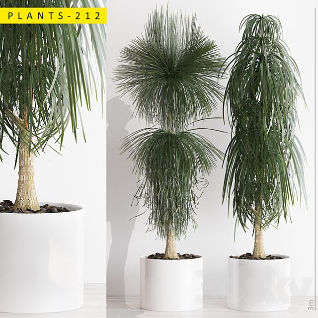 PLANTS 212 3DSMax File - thumbnail 1