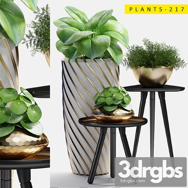 Plants 217 - thumbnail 1