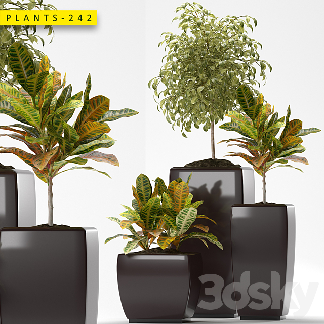 Plants 242 3ds Max - thumbnail 1