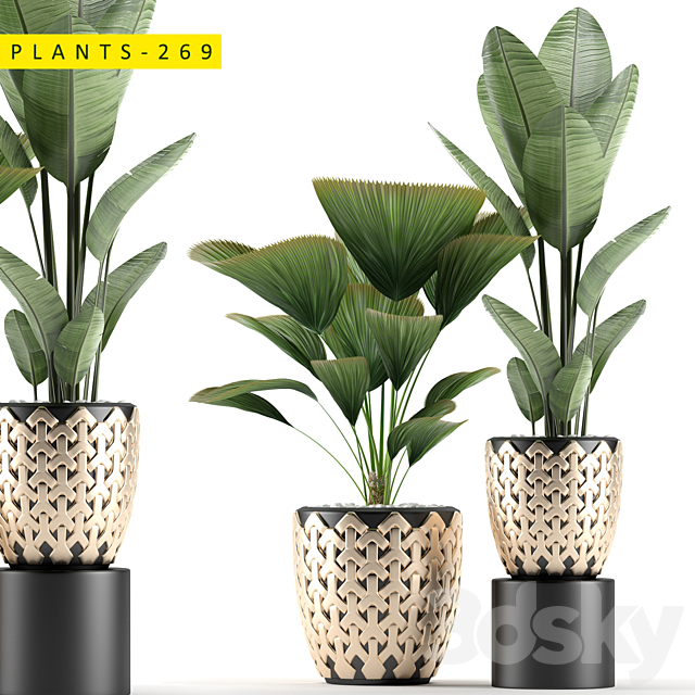 plants 269 3DSMax File - thumbnail 1