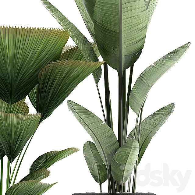 plants 269 3DSMax File - thumbnail 2