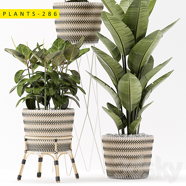 plants 286 3DSMax File - thumbnail 2