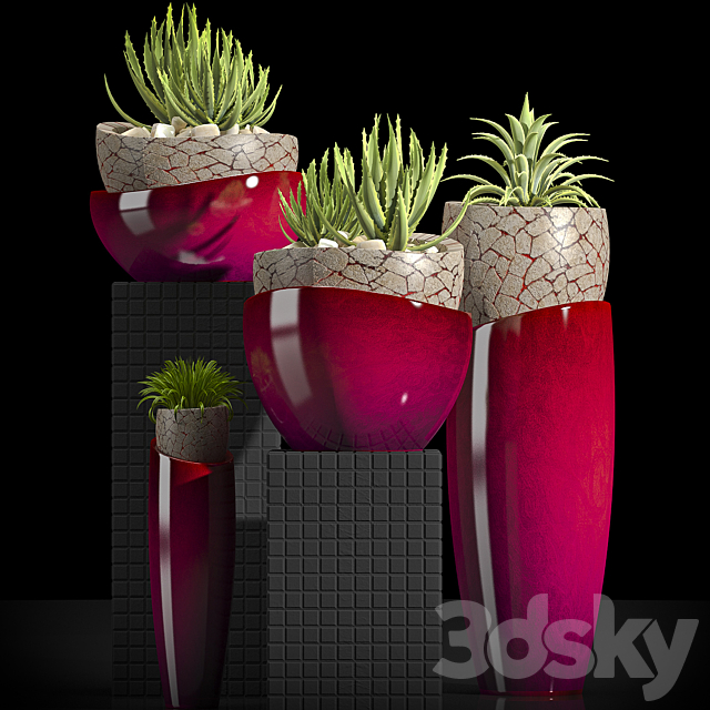 PLANTS 32 3DSMax File - thumbnail 1