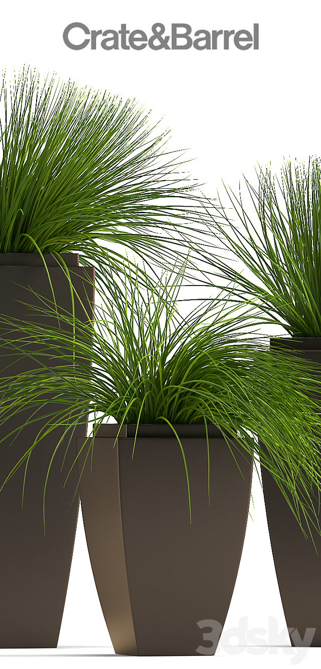 PLANTS 59 3DSMax File - thumbnail 2