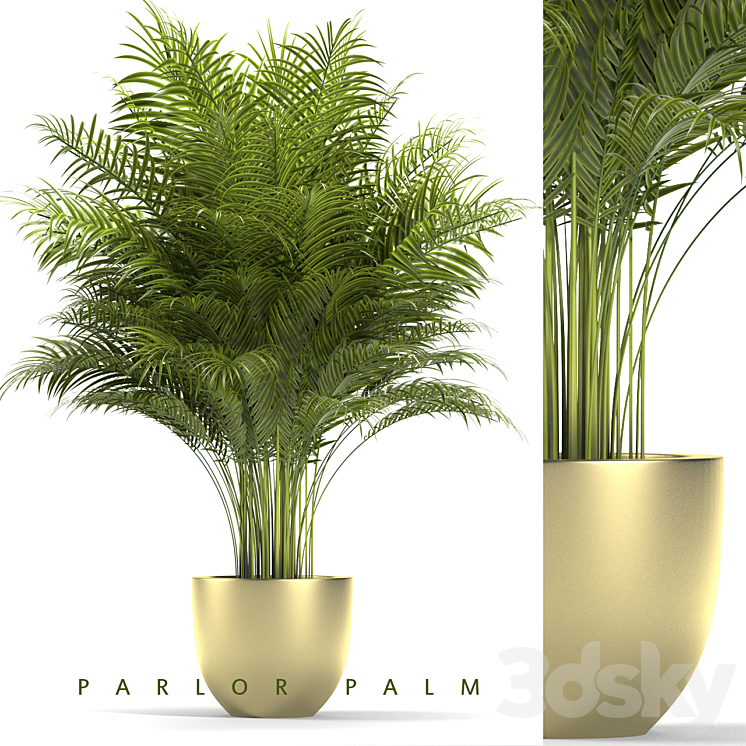 PLANTS 67 3DS Max - thumbnail 1