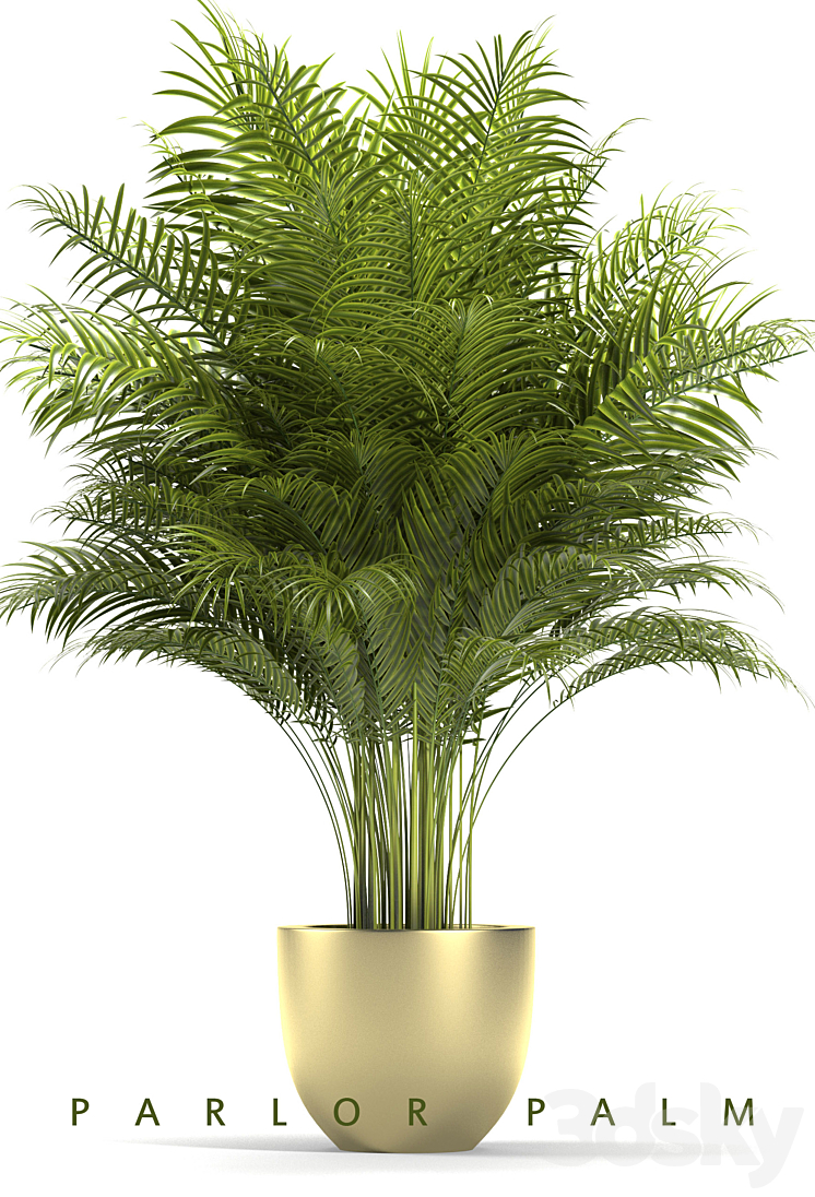 PLANTS 67 3DS Max - thumbnail 2