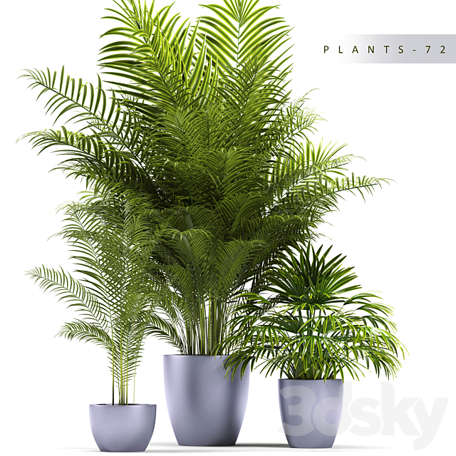 PLANTS 72 3DSMax File - thumbnail 1