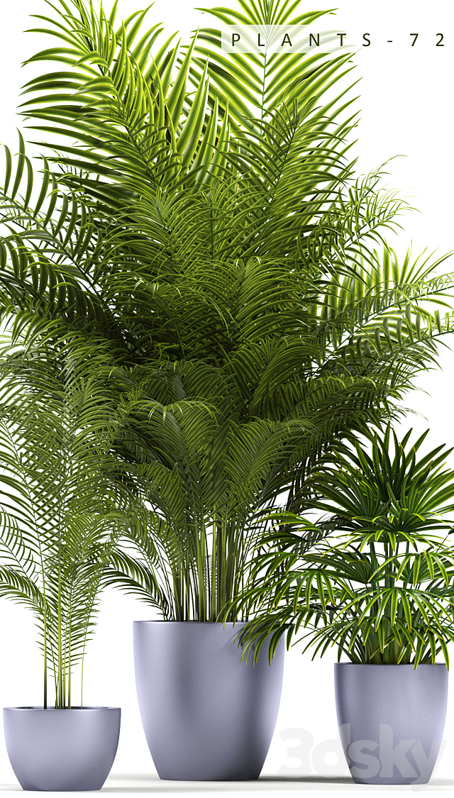 PLANTS 72 3DSMax File - thumbnail 2