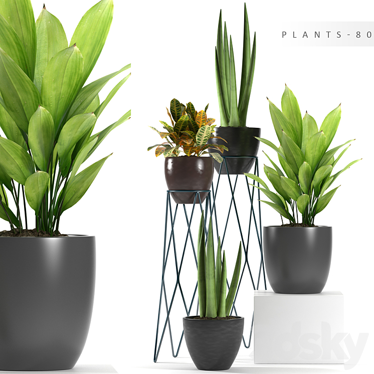 PLANTS 80 3DS Max - thumbnail 1