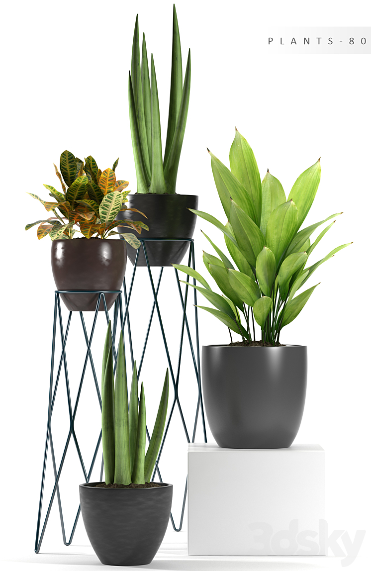 PLANTS 80 3DS Max - thumbnail 2