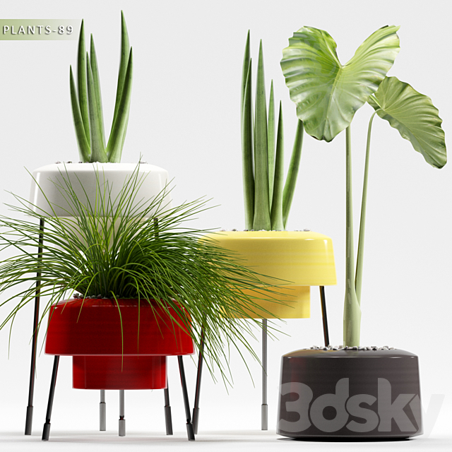 PLANTS 89 3DSMax File - thumbnail 1