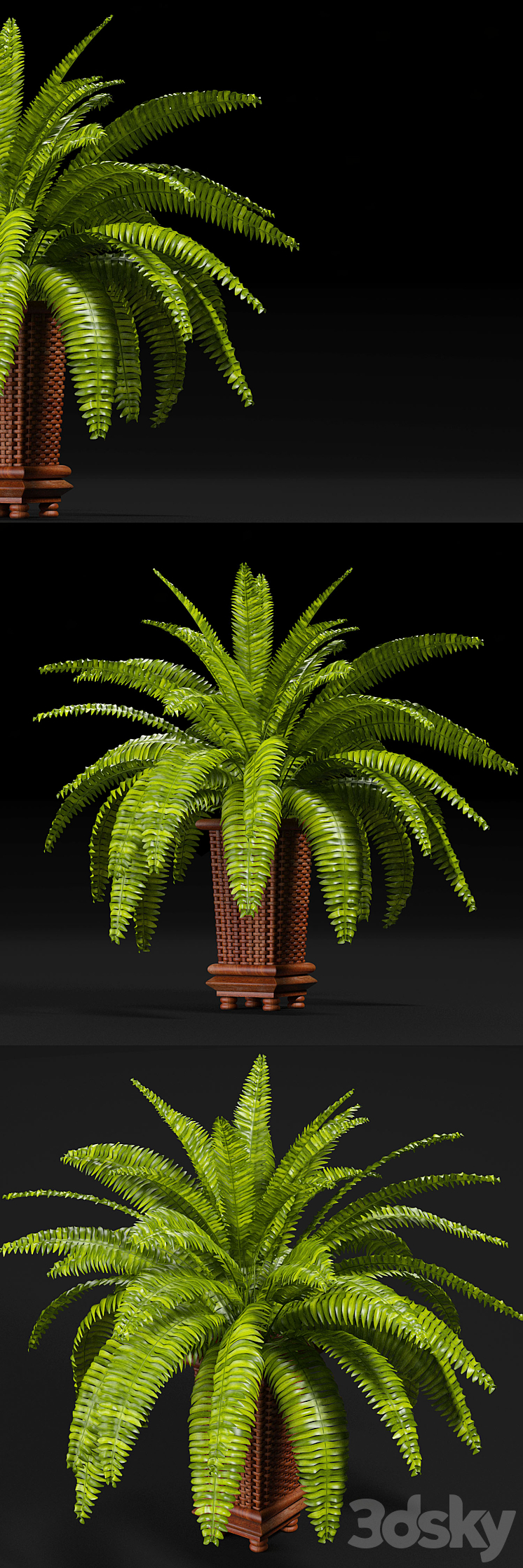 PLANTS 9 3DS Max - thumbnail 1