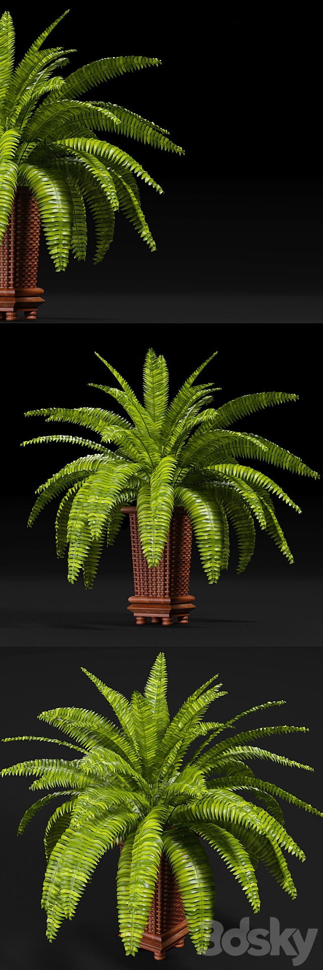 PLANTS 9 3DSMax File - thumbnail 1