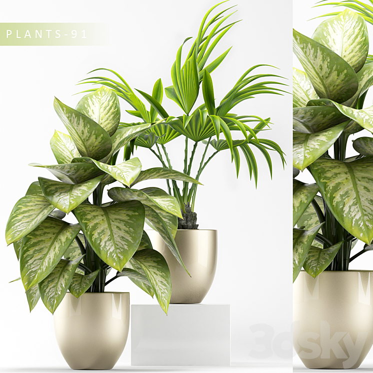 PLANTS 91 3DS Max - thumbnail 1