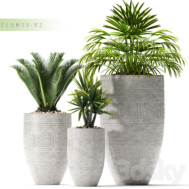 PLANTS 92 3DS Max Model - thumbnail 1