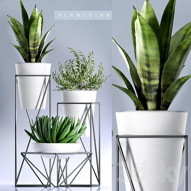 PLANTS 99 3DSMax File - thumbnail 1