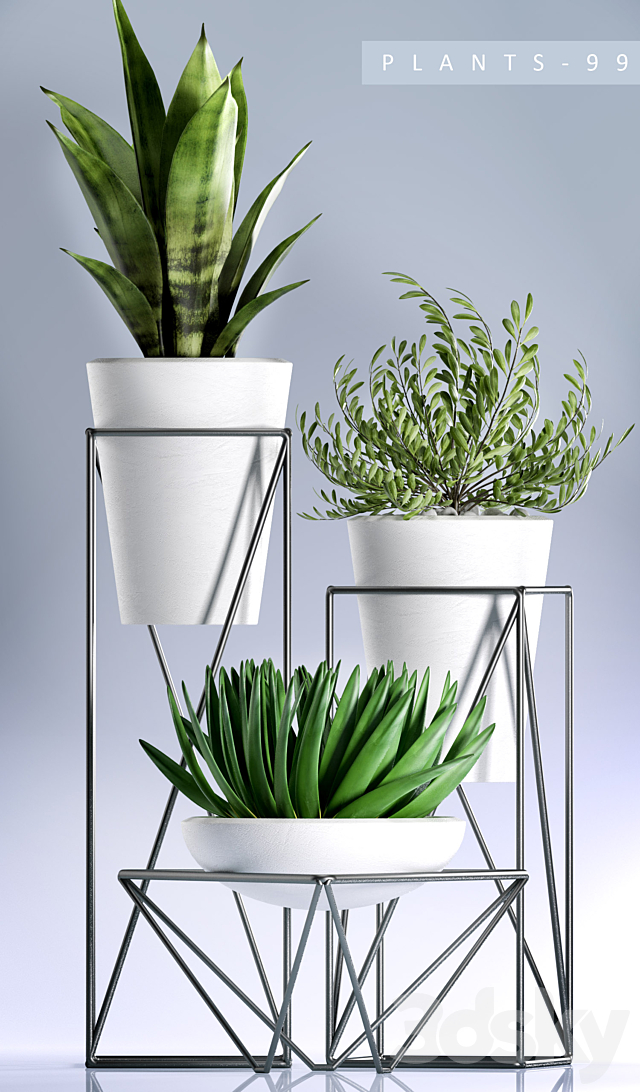 PLANTS 99 3DSMax File - thumbnail 2