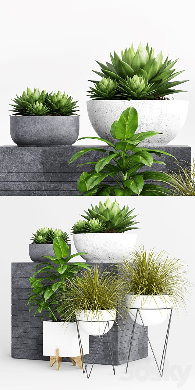 Plants and Planters _1 3DSMax File - thumbnail 3