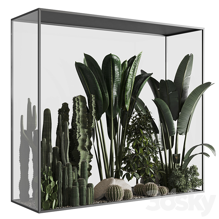Plants behind glass 02 3DS Max Model - thumbnail 1