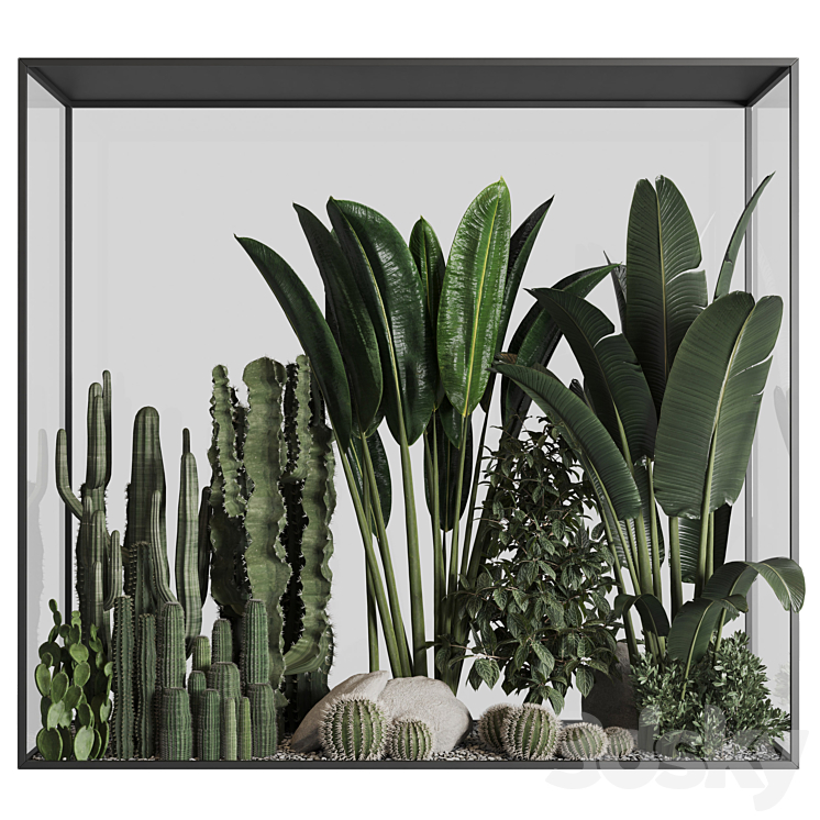 Plants behind glass 02 3DS Max Model - thumbnail 2