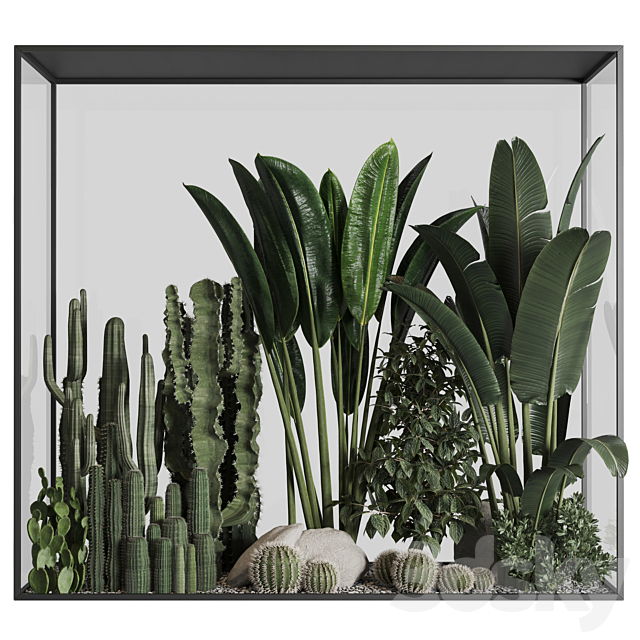 Plants behind glass 02 3DSMax File - thumbnail 2