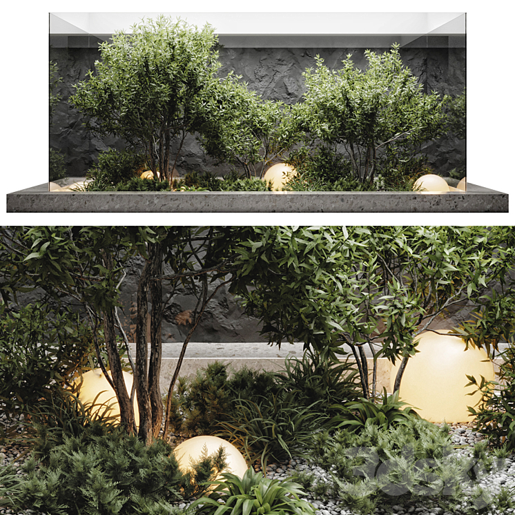 plants behind glass 3DS Max Model - thumbnail 1
