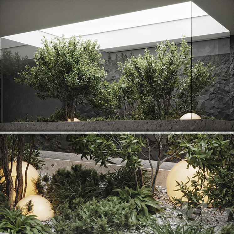 plants behind glass 3DS Max Model - thumbnail 2