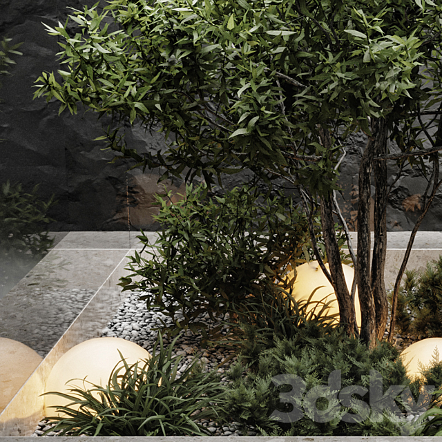 plants behind glass 3DSMax File - thumbnail 5