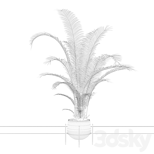 Plants collection 002 – Areca Palm 01 3DSMax File - thumbnail 4