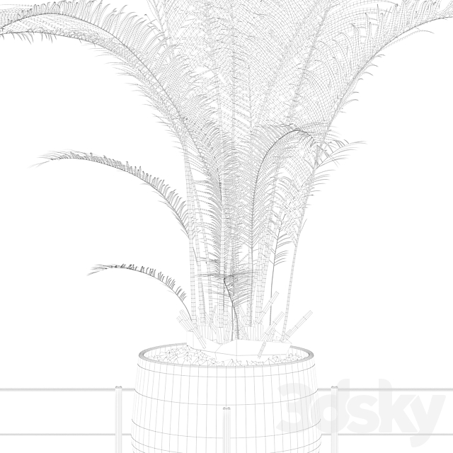 Plants collection 002 – Areca Palm 01 3DSMax File - thumbnail 5