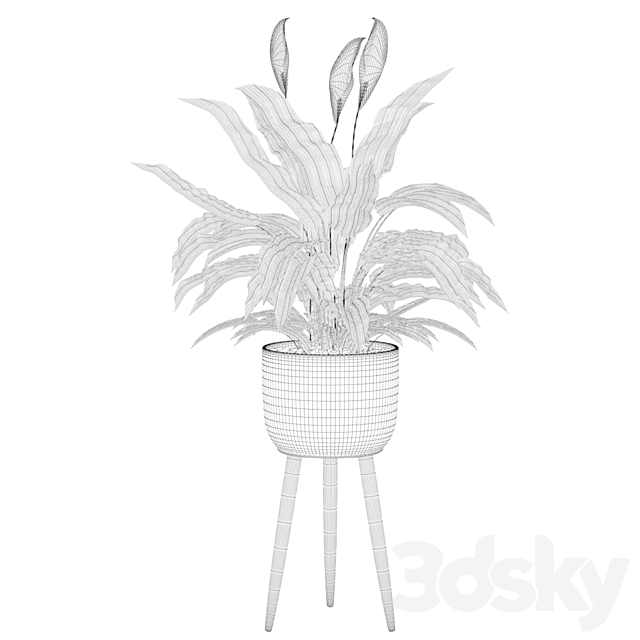 Plants collection 009 – Peace Lily 01 3DSMax File - thumbnail 4