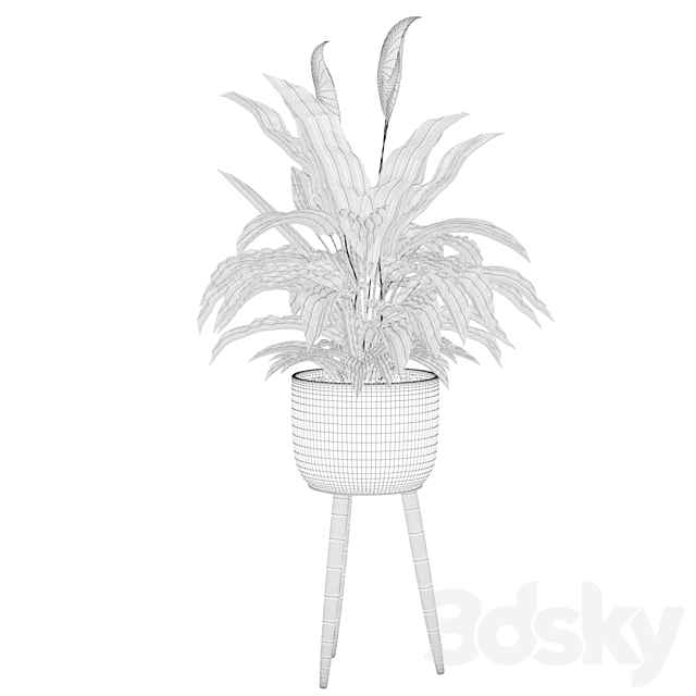 Plants collection 009 – Peace Lily 01 3DSMax File - thumbnail 5