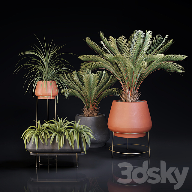 Plants collection 01 3DSMax File - thumbnail 1