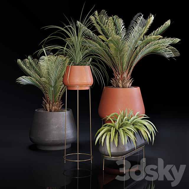 Plants collection 01 3DSMax File - thumbnail 2