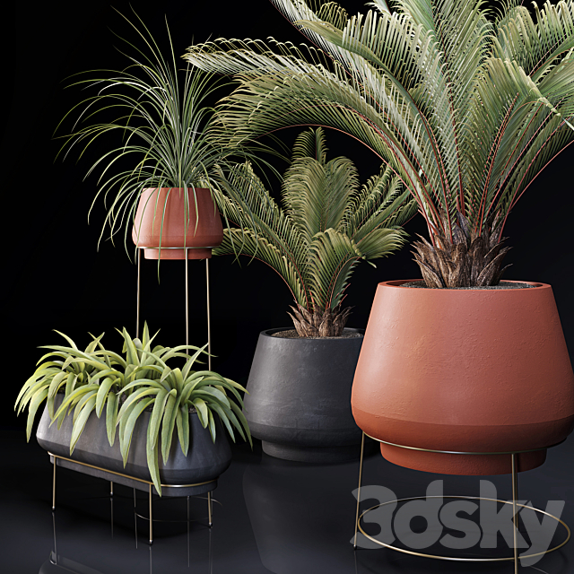 Plants collection 01 3DSMax File - thumbnail 3