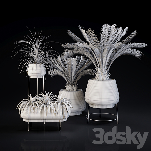 Plants collection 01 3DSMax File - thumbnail 4