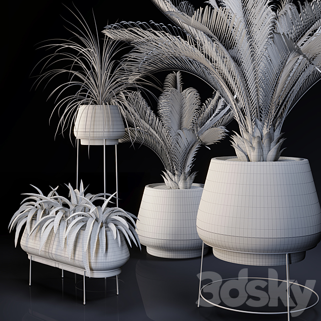 Plants collection 01 3DSMax File - thumbnail 5