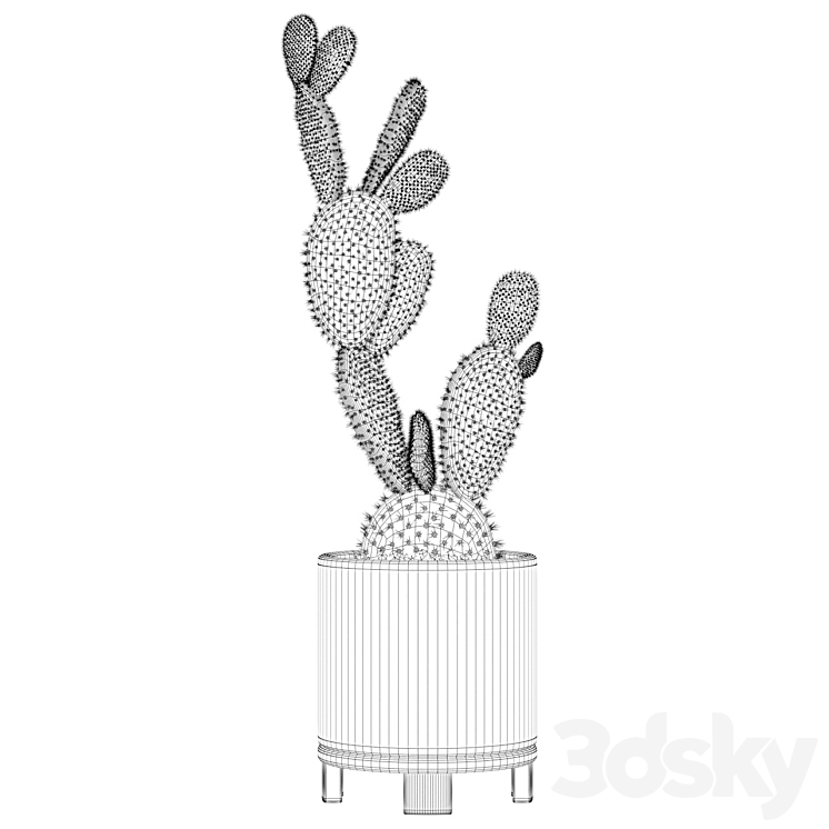 Plants collection 010 – Opuntia microdasys 01 3DS Max - thumbnail 2