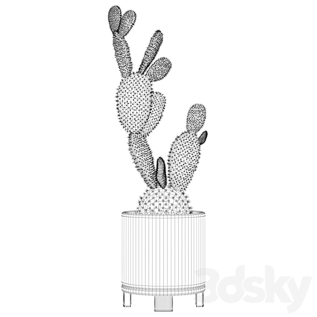 Plants collection 010 – Opuntia microdasys 01 3DSMax File - thumbnail 2