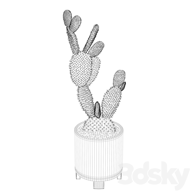 Plants collection 010 – Opuntia microdasys 01 3DSMax File - thumbnail 4