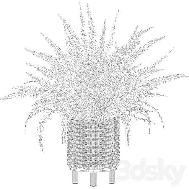 Plants collection 035 – Fern 03 3DS Max Model - thumbnail 3