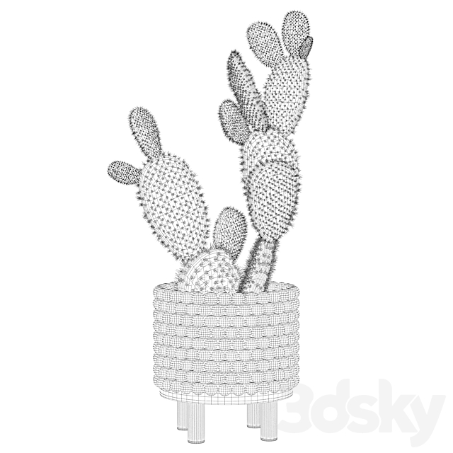 Plants collection 038 – Opuntia microdasys 03 3DSMax File - thumbnail 4