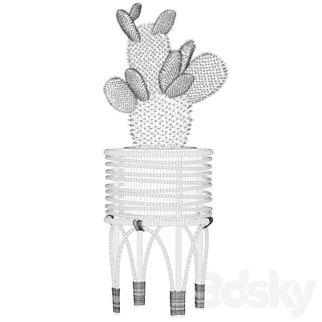 Plants collection 049 – Opuntia microdasys 04 3DSMax File - thumbnail 4