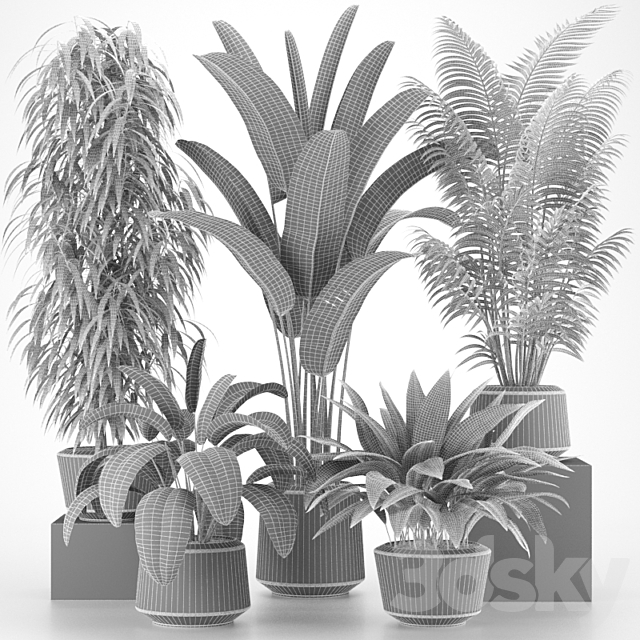 Plants collection 05 3DSMax File - thumbnail 2