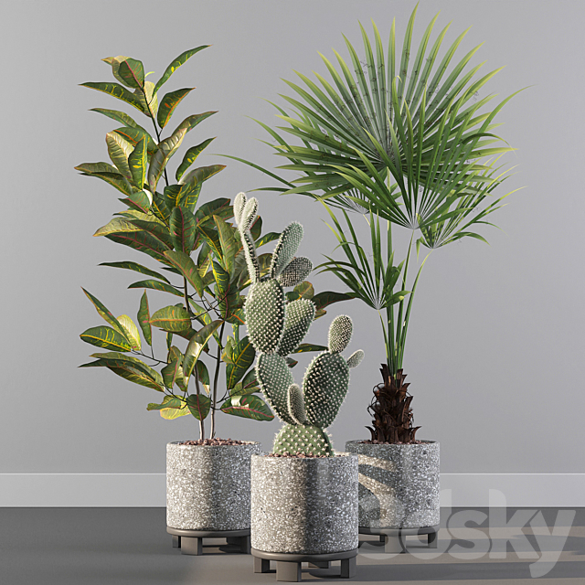 Plants collection 056 3DSMax File - thumbnail 2