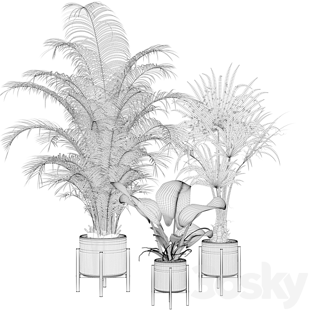 Plants collection 086 3DS Max Model - thumbnail 2