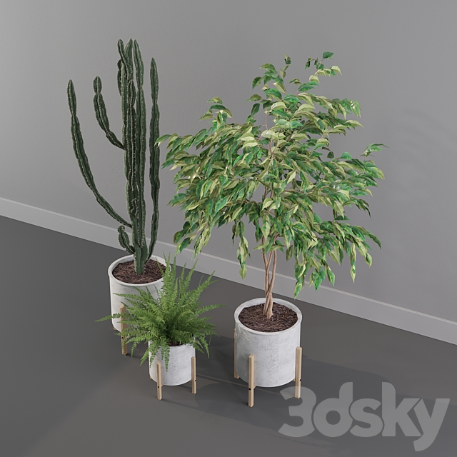 Plants collection 095 3DSMax File - thumbnail 4